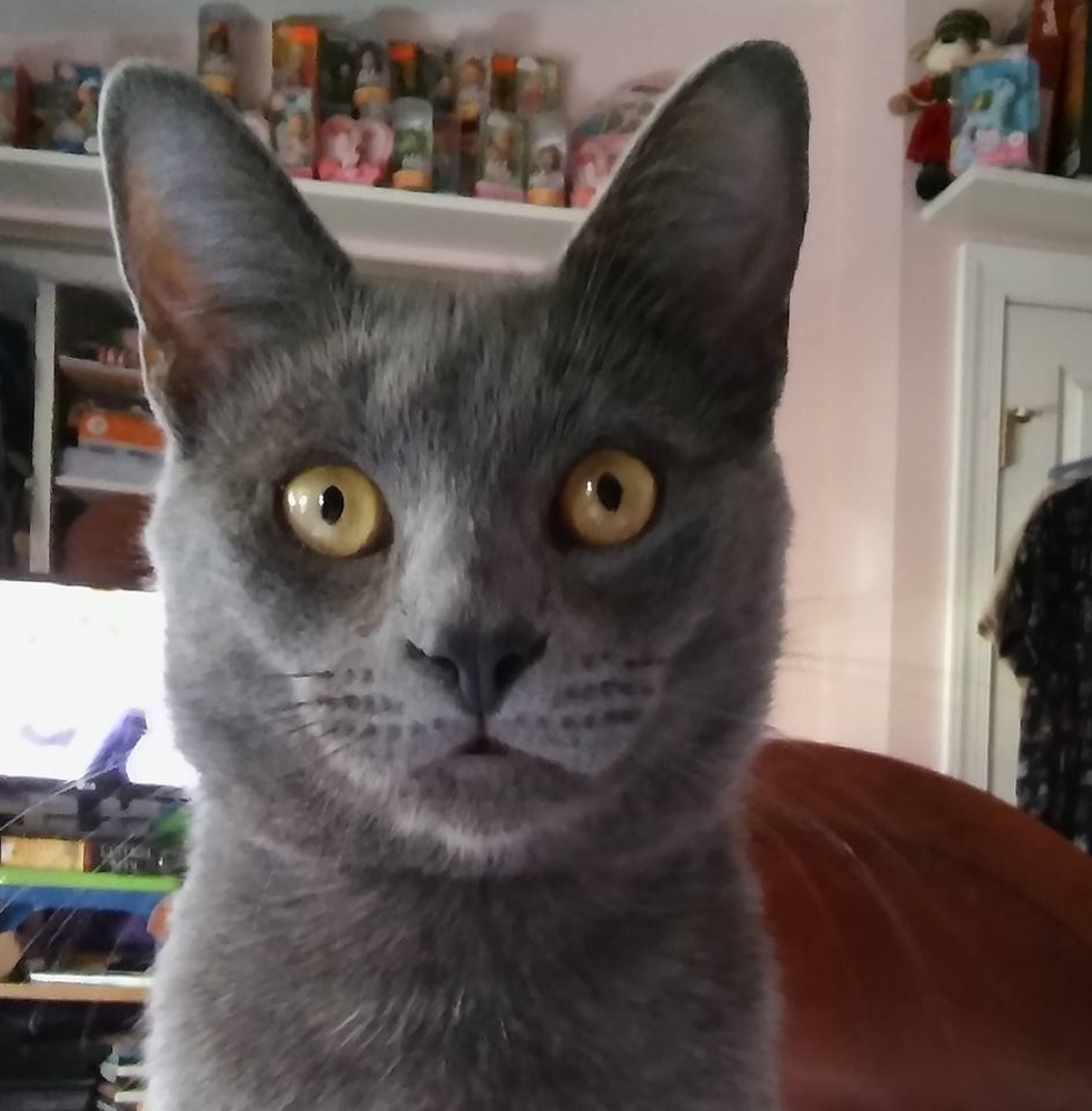 Meet your Posher, Michele